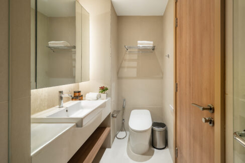 LLR_Aster_2A_sencondbath_002